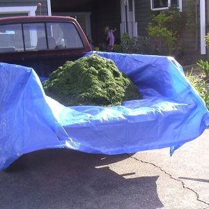 Canvas Waterproof PVC Backing W / R Anti Heat and Reduce Glare Outdoor / Indoor Grey